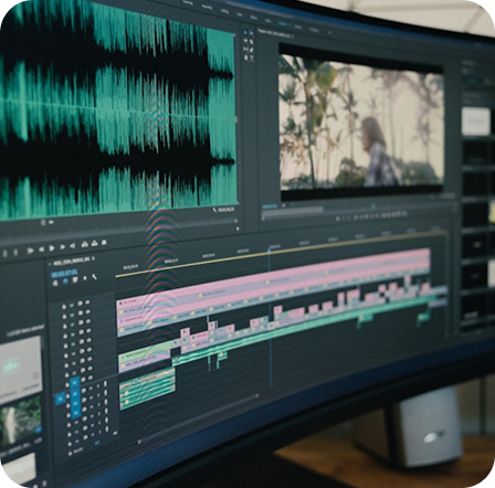 Subtitling